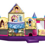 Disney Princess 5 In 1 Combo