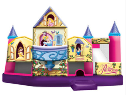 Disney Princess 5 In 1 Combo