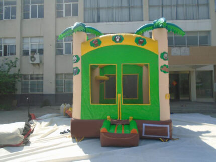Mini Bouncy Castle
